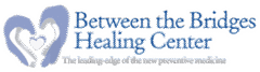 between the bridges logo